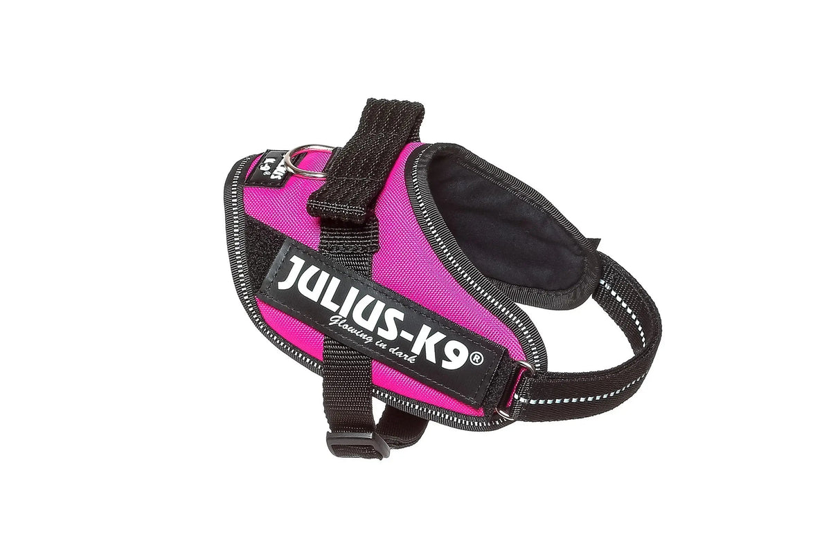 Julius-K9® IDC® Powerharness S / Dark Pink