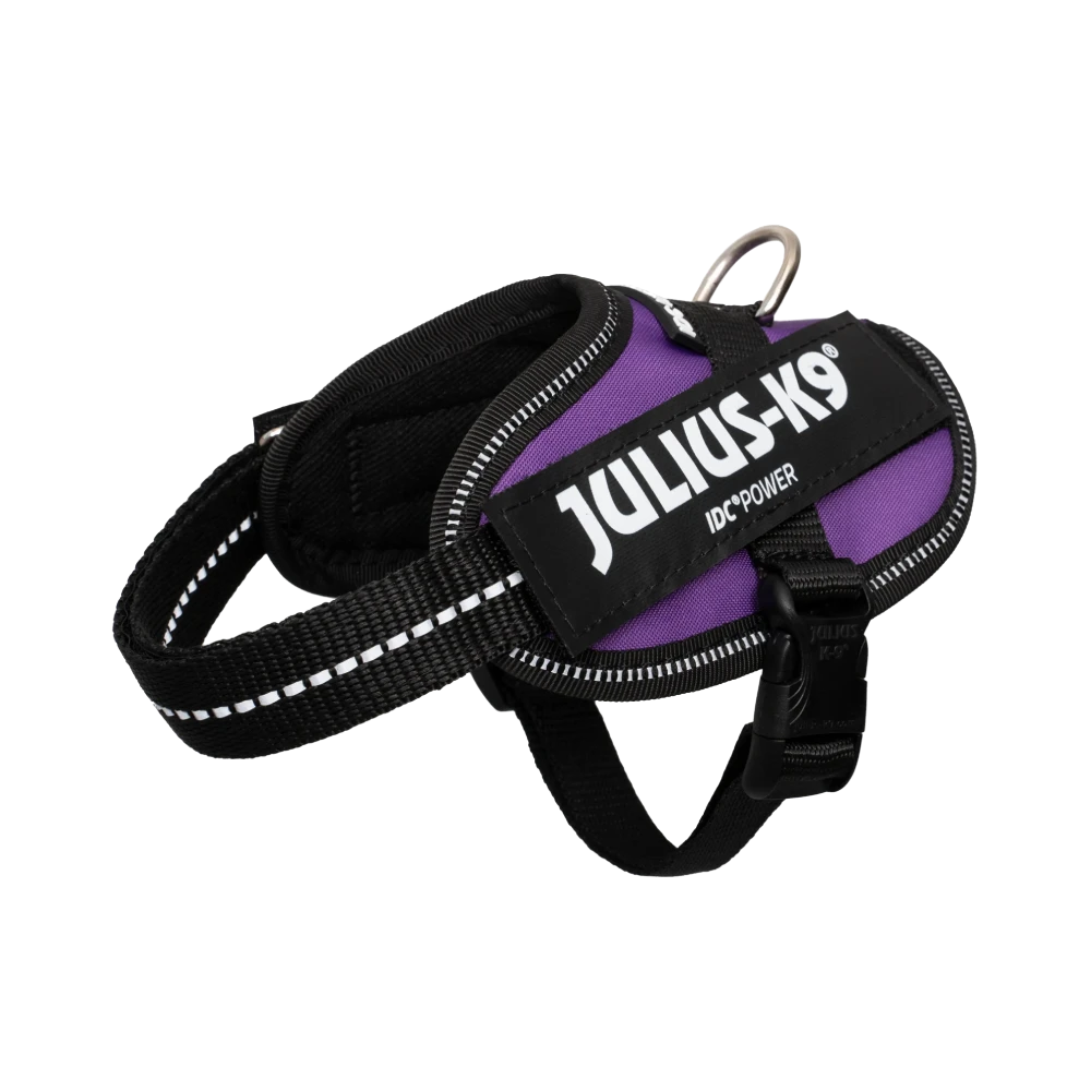 Julius-K9® IDC® Powerharness 2XS / Dark Purple