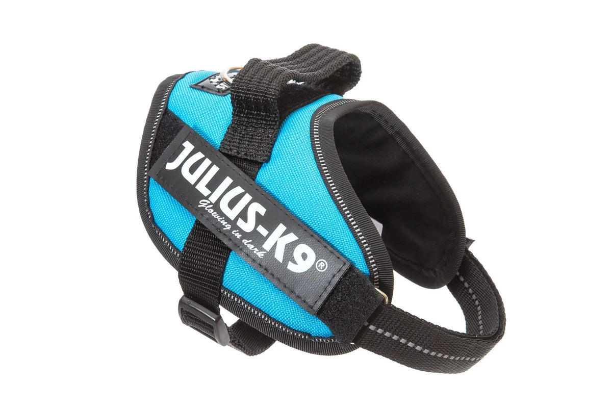 Julius-K9® IDC® Powerharness XS / Aquamarine
