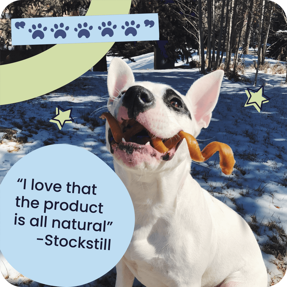 Dog holding a chew in a snowy outdoor setting with text and graphics overlay.