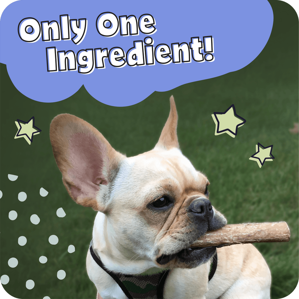 A dog with a Pawstruck Bully Stick in their mouth with the text saying Only one Ingredient