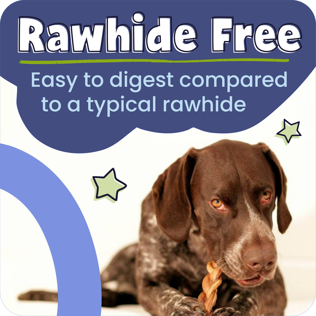 Dog holding a rawhide-free chew with text about its digestibility.
