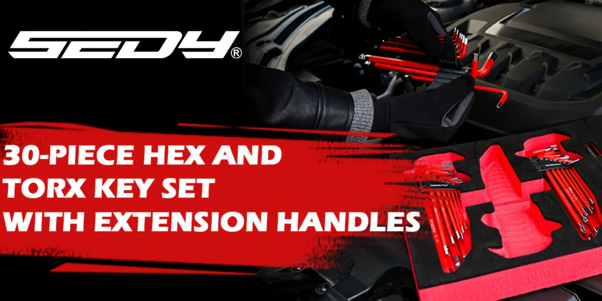 Hex Key & Torx Wrench Set 30-Piece – Long Arm Ball End Allen Wrenches with T-Handle & Extension Bar | SAE