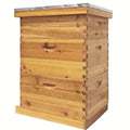 Langstroth Beehive Kit 3 Layer Beeswax Coated 2 Deep Boxes & 1 Medium Super — No Frames