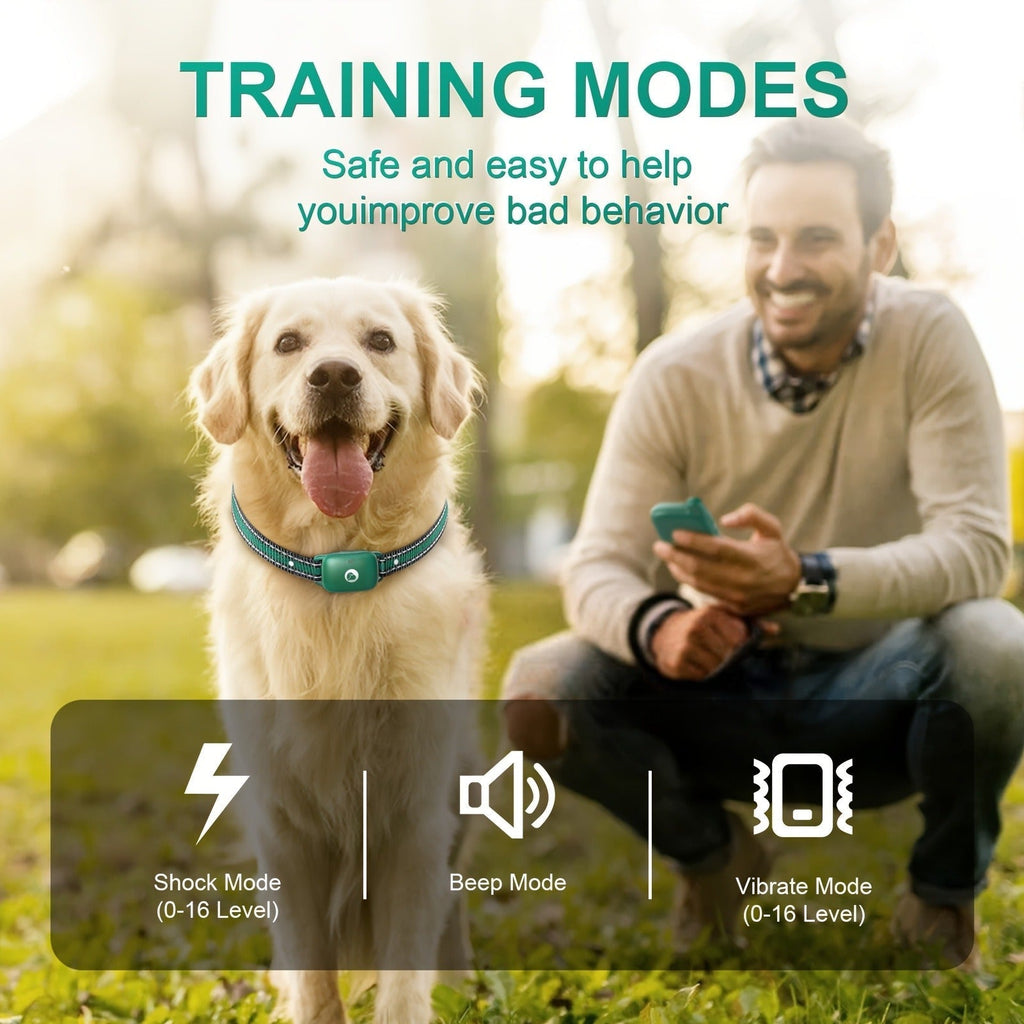 Dog Training Collar Green Remote Set with 730-Meter Range, Three Cue Modes and Two- or Three-Receiver Options