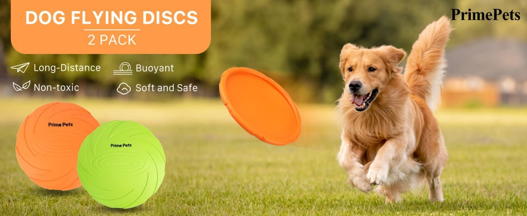 Dog Toys Two-Pack Floating Natural Rubber Flying Discs in Green and Orange for Fetch and Water Play