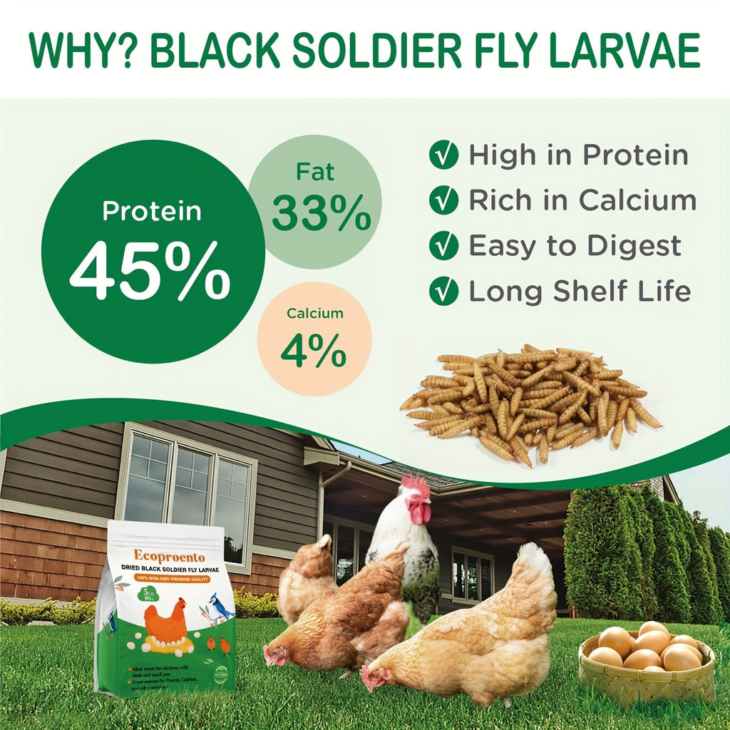 Non-GMO Dried Black Soldier Fly Larvae 5LB & 10LB – 85X More Calcium Than Mealworms, High Protein BSFL Treats for Chickens, Ducks