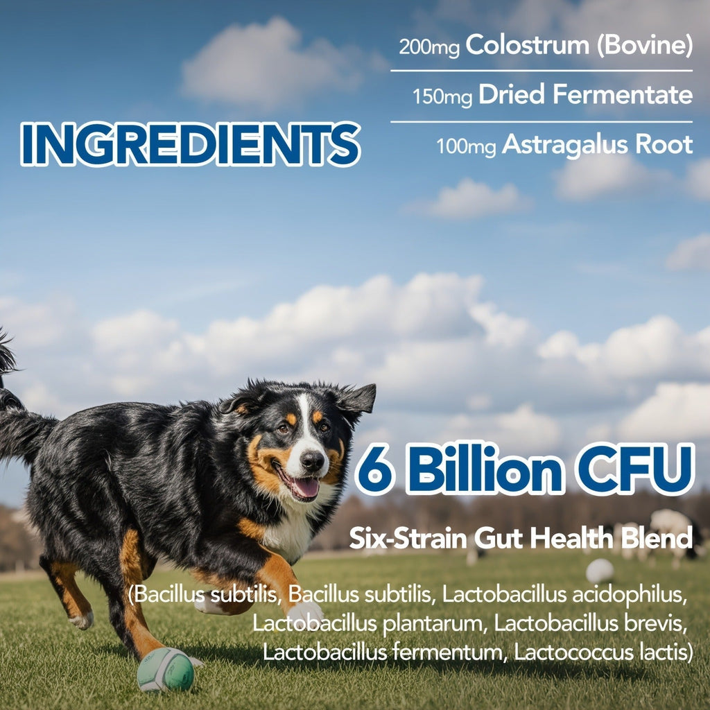 Dog Skin and Digestion Soft Chews with Colostrum, Fermentate and Astragalus, 90-Count Bottle