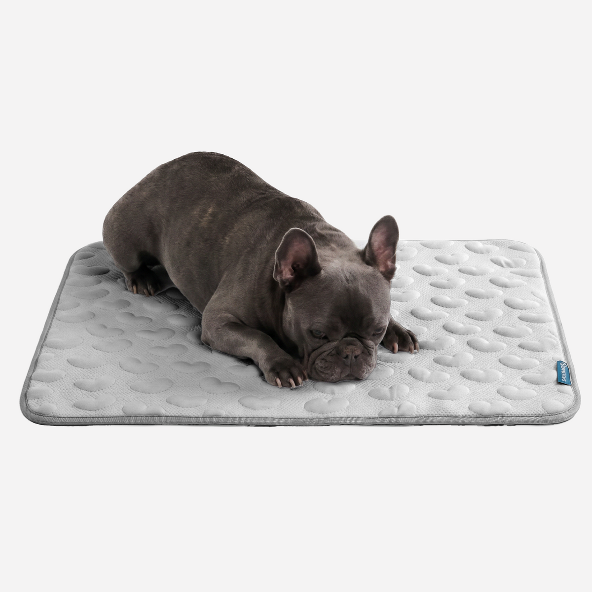 Breathable Cooling Dog Mat Hearts Grey / M