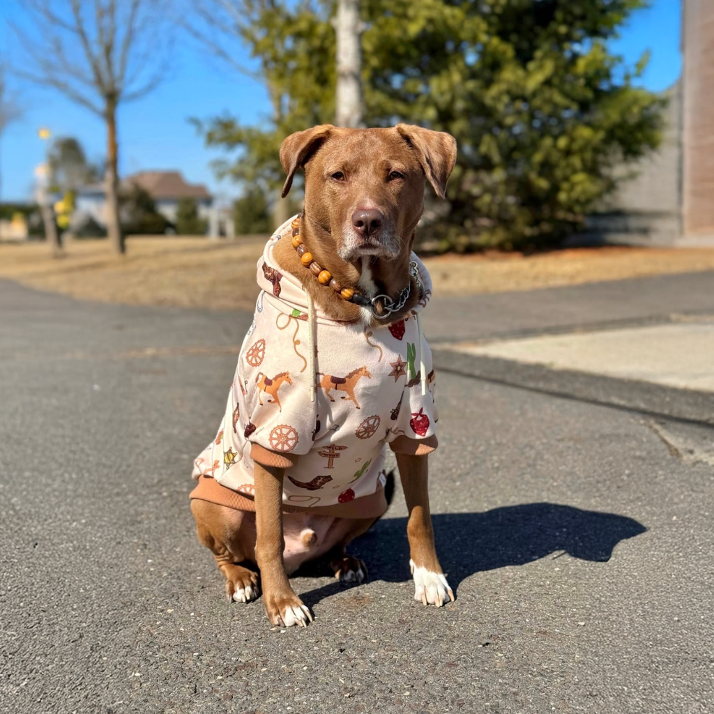 Fleece Dog Hoodie product image 11