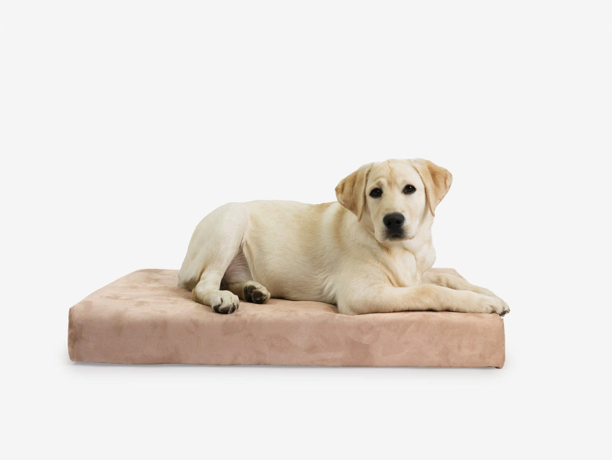 Orthopedic Dog Crate Bed Medium - 33.2" X 21.2" X 4" / Khaki