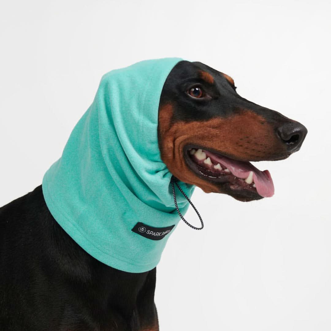 Adjustable Dog Ear Cover, Earmuff - Teal / S (10-15lbs/4.5-7kg)