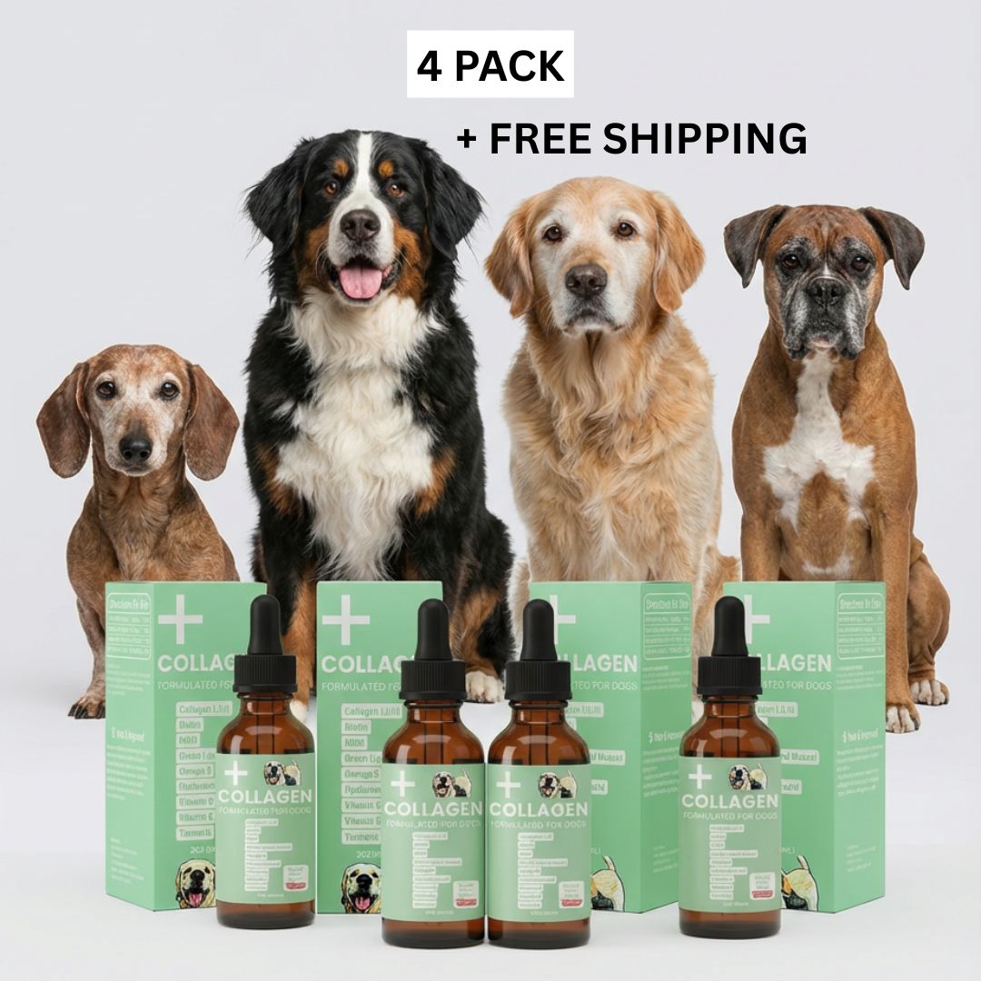 Liquid Collagen Supplement for Dogs Four Dogs