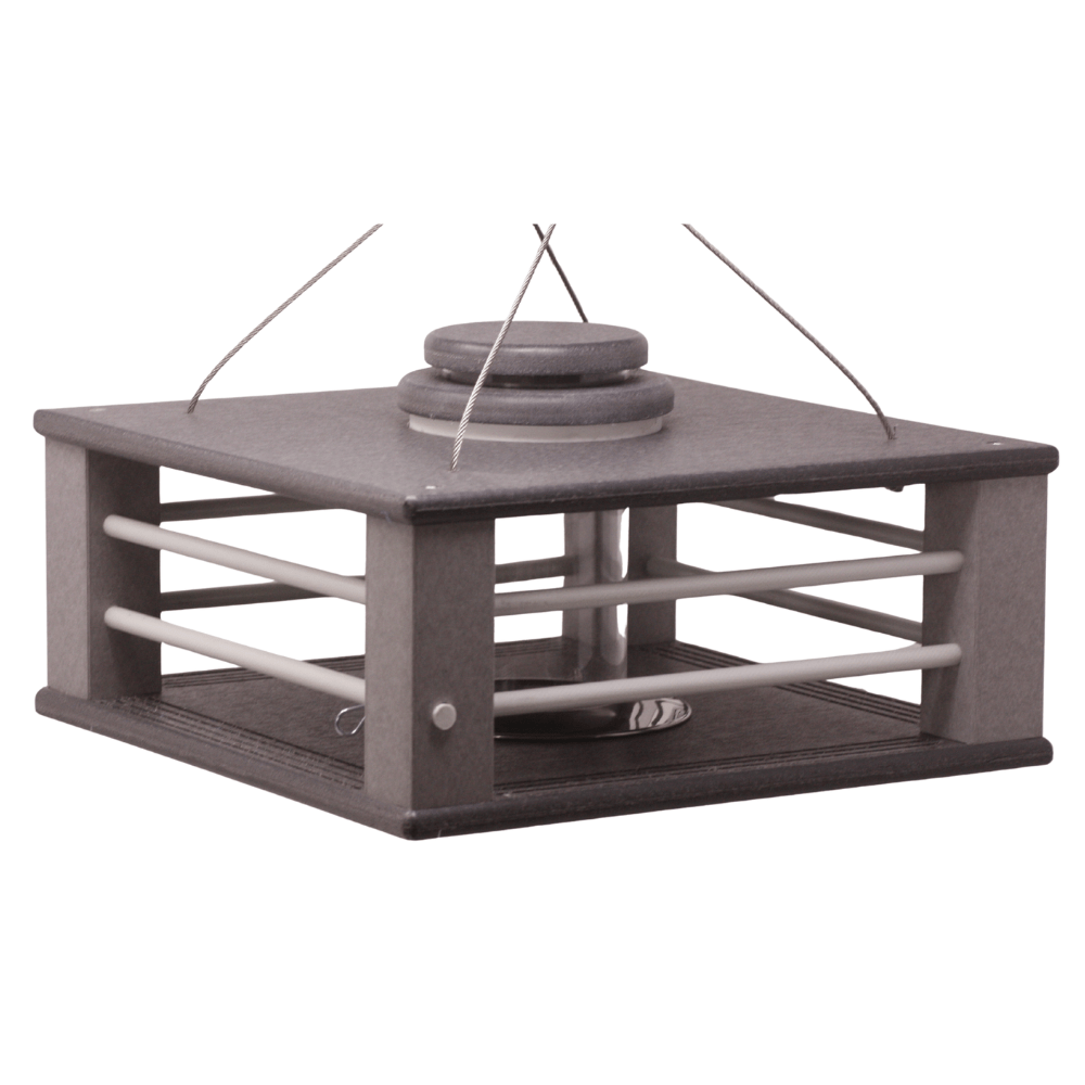 Eastern Bluebird Mealworm Feeder Dark Gray/Light Gray