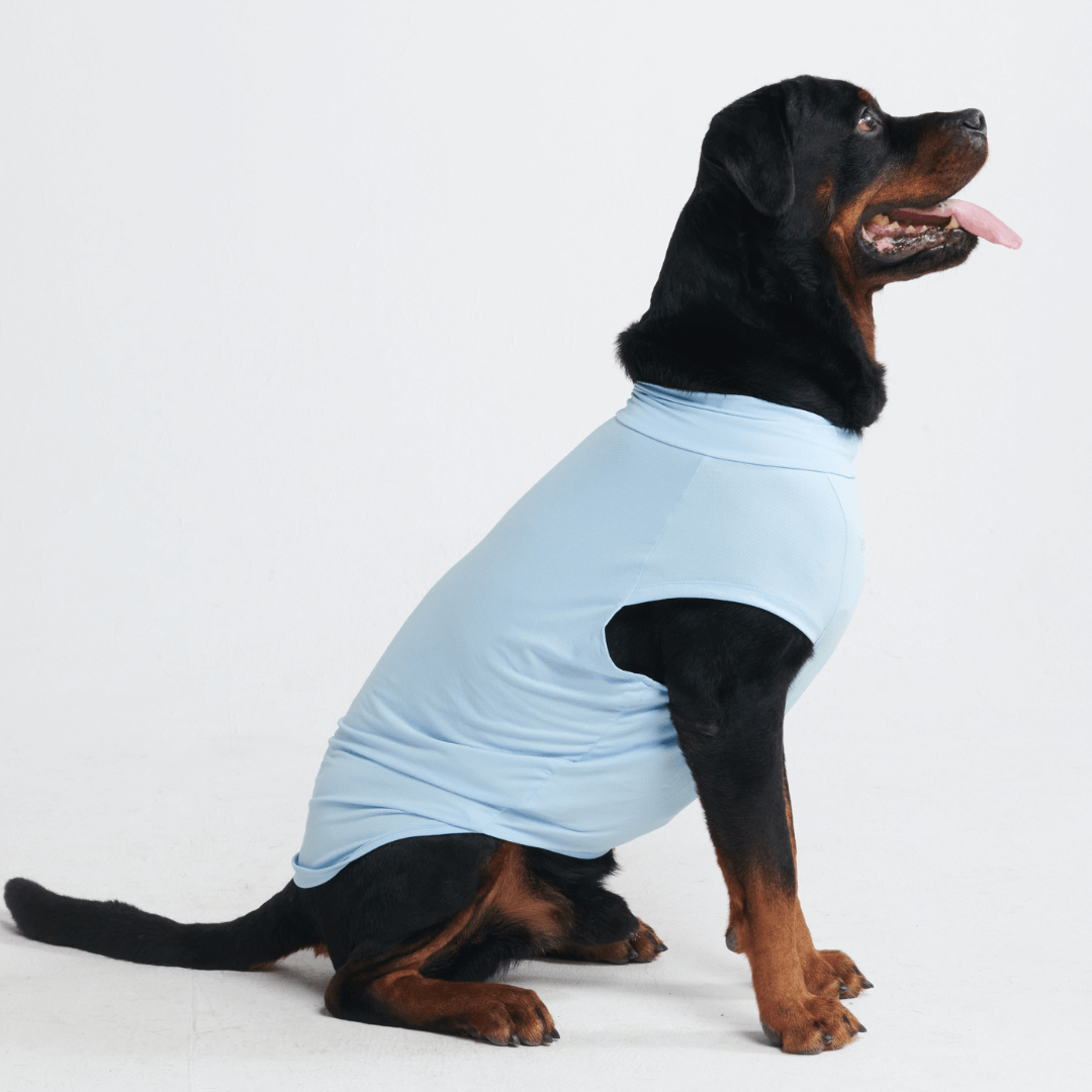 UPF 30 Dog Sun Shirt, Blue Shirt / S