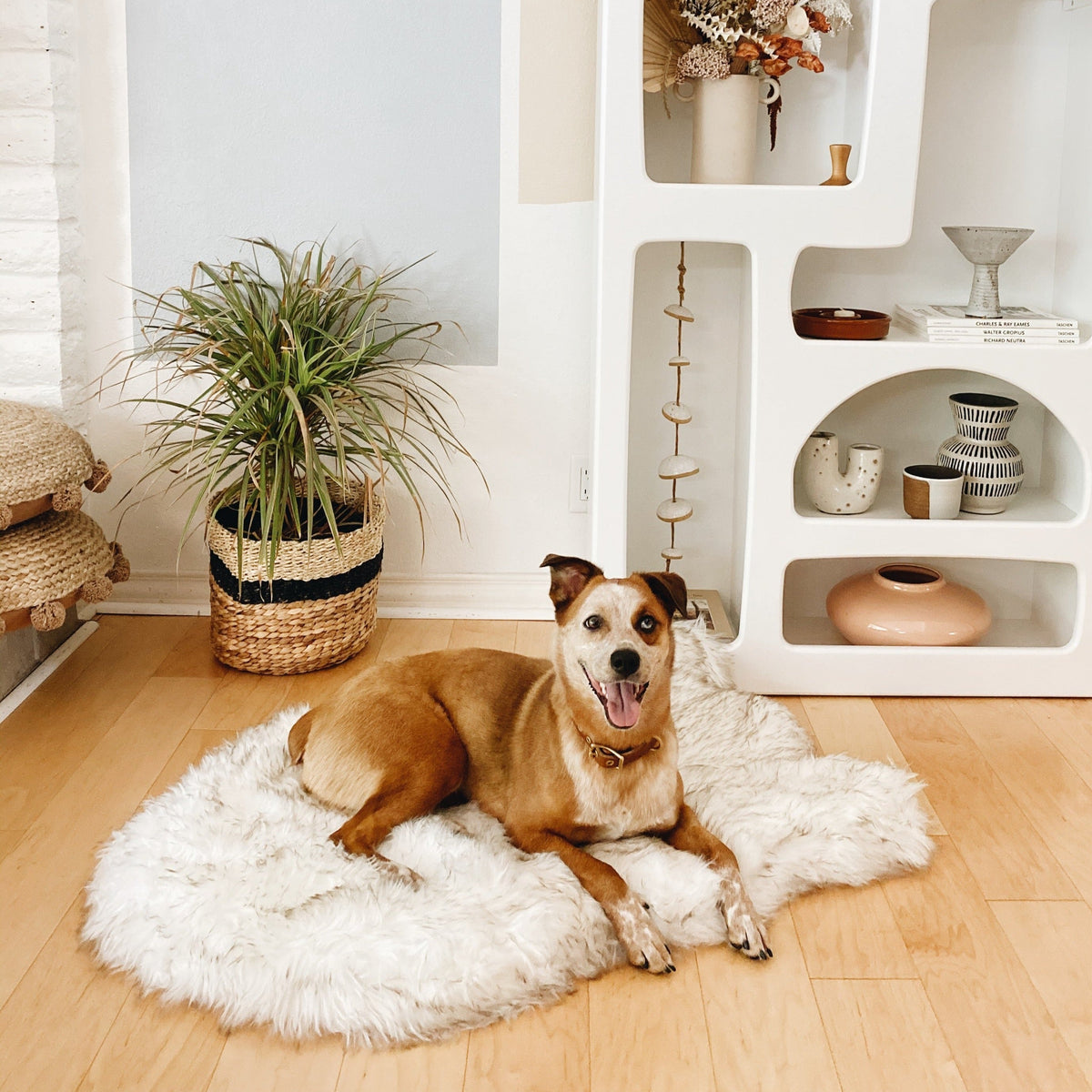 Orthopedic Dog Bed product image 2