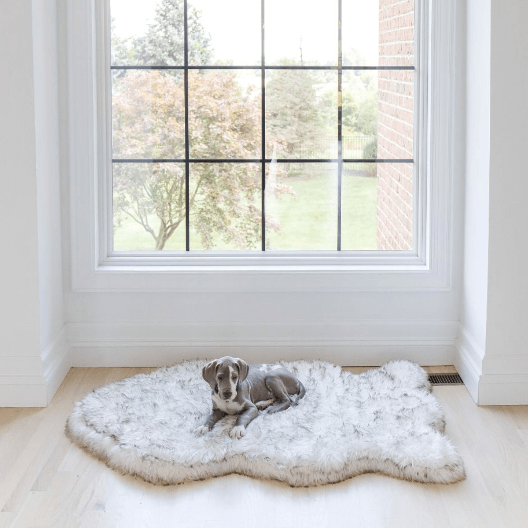 Orthopedic Dog Bed, Giant (60" L x 35" W)