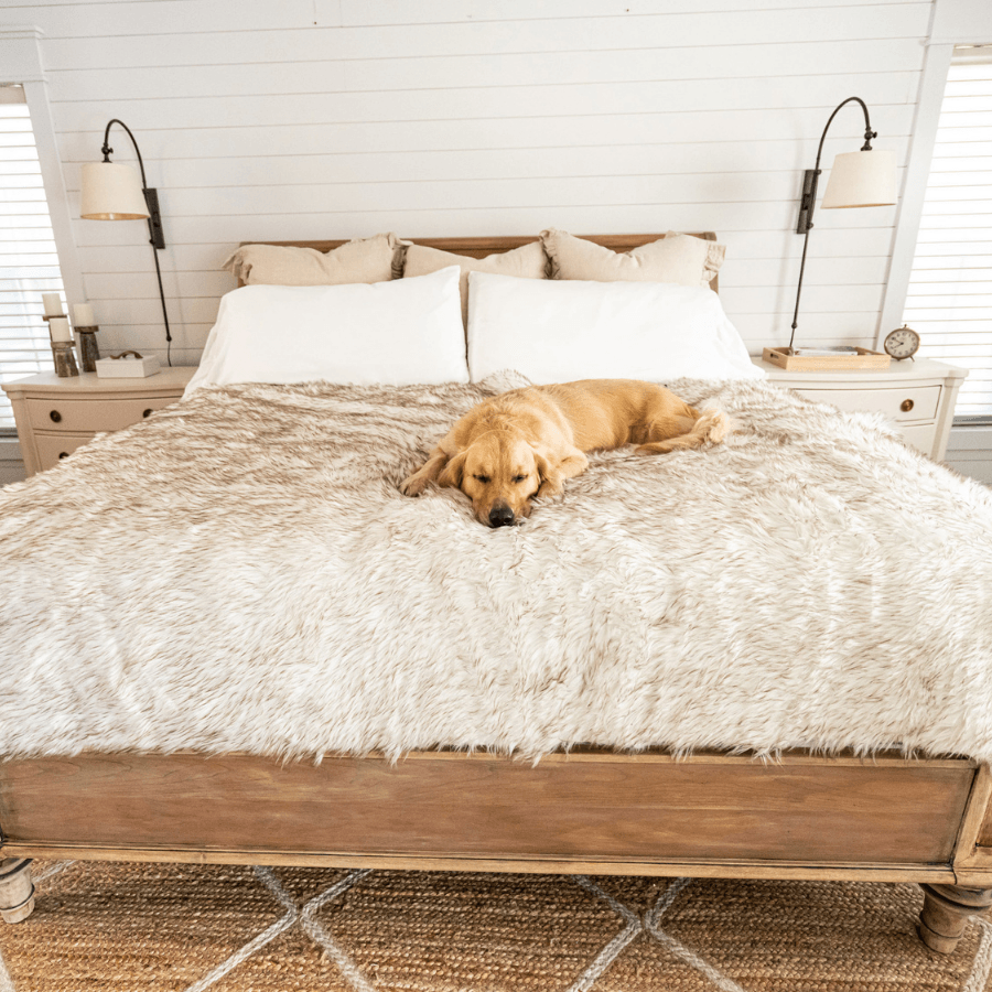 Waterproof Dog Blanket, Large (80"L X 62"W)
