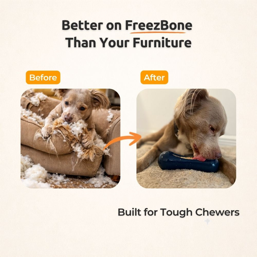 Fillable Freezable Dog Chew Toy product image 3