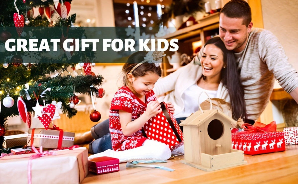 Wooden Birdhouse Build and Paint Craft Kit with Panels, Fasteners, Paints and Brushes in One or Two Packs
