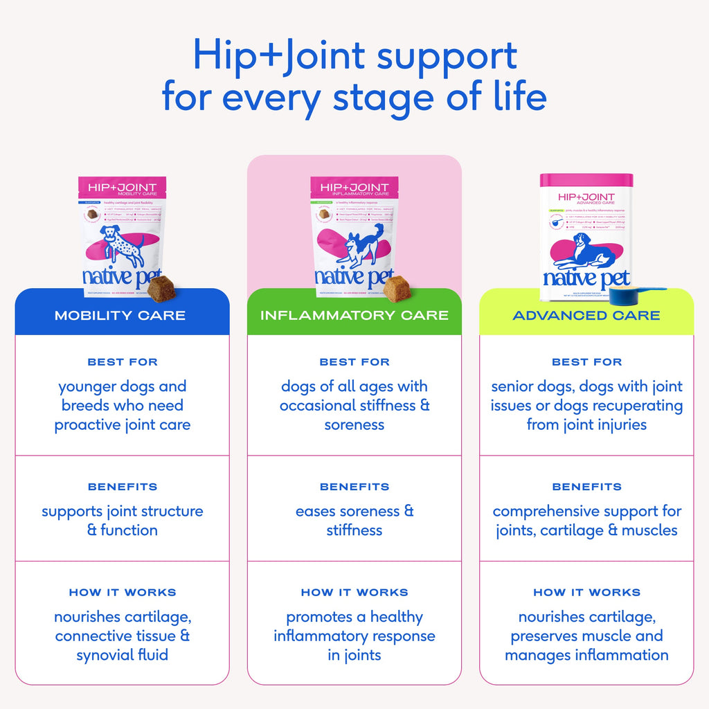 Dog Hip and Joint Support Chews product image 9