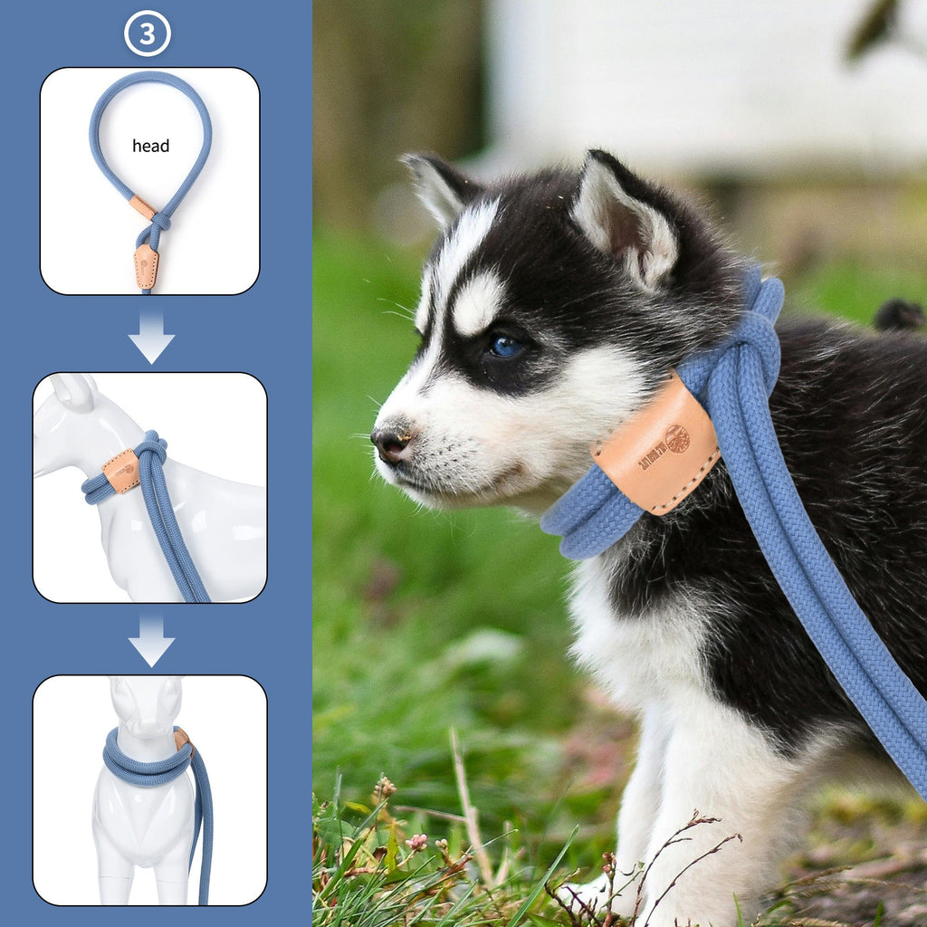 Dog Slip Leash and Harness 2-in-1 Rope Lead – No Pull All-in-One Training Leash for Puppies & Small Dogs, Adjustable Slip Lead with Soft