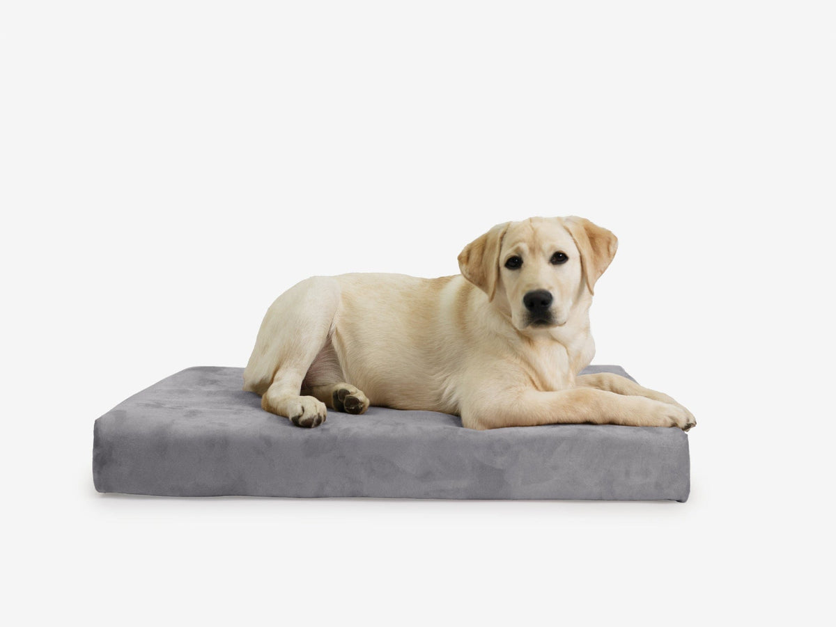 Orthopedic Dog Crate Bed Medium - 33.2" X 21.2" X 4" / Charcoal Gray