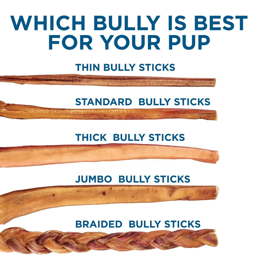 12-Inch Thick Odor-Free Bully Sticks product image 9