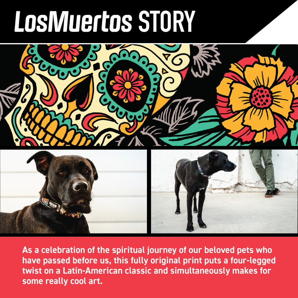 LosMuertos Dog Collar - Wolfgang