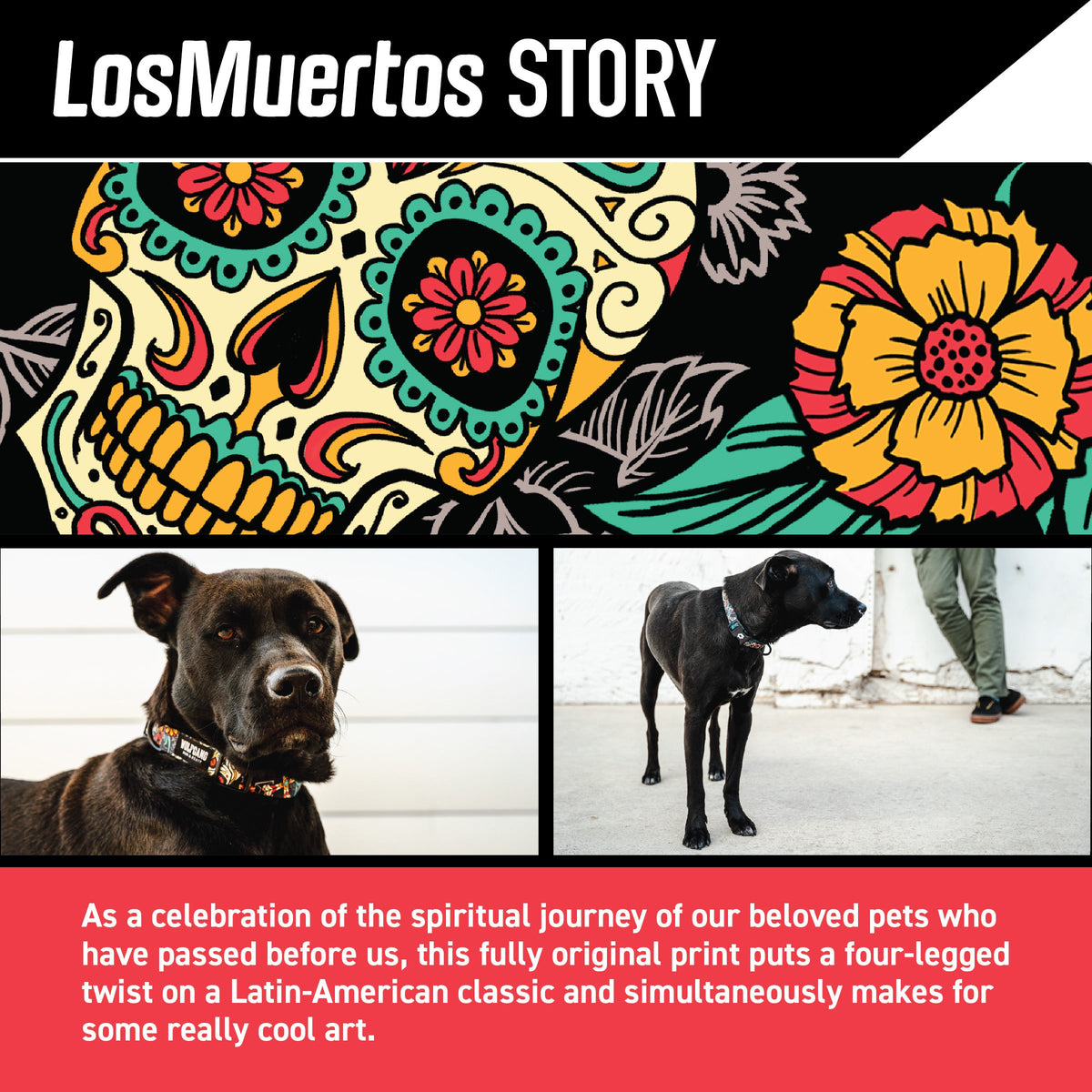 LosMuertos Dog Collar - Wolfgang