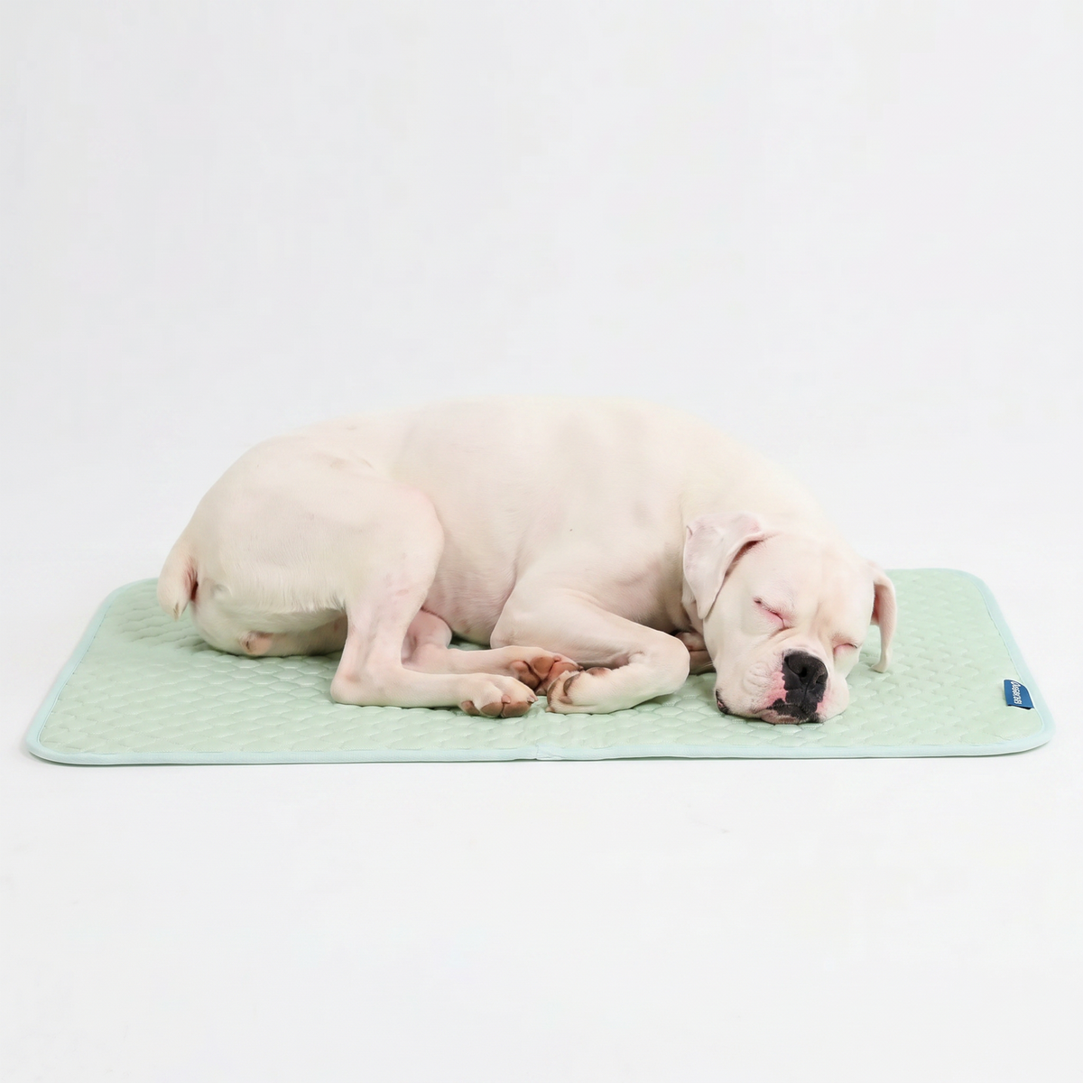 Breathable Cooling Dog Mat Orb Green / L