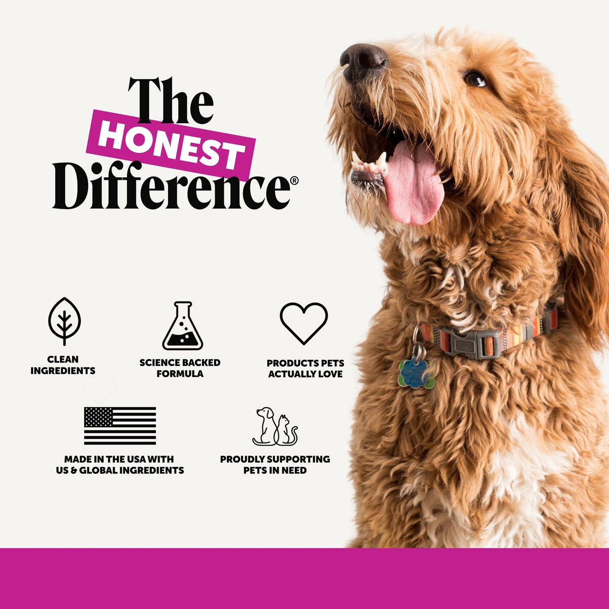 Max-Strength Dog Multivitamin Soft Chews product image 8