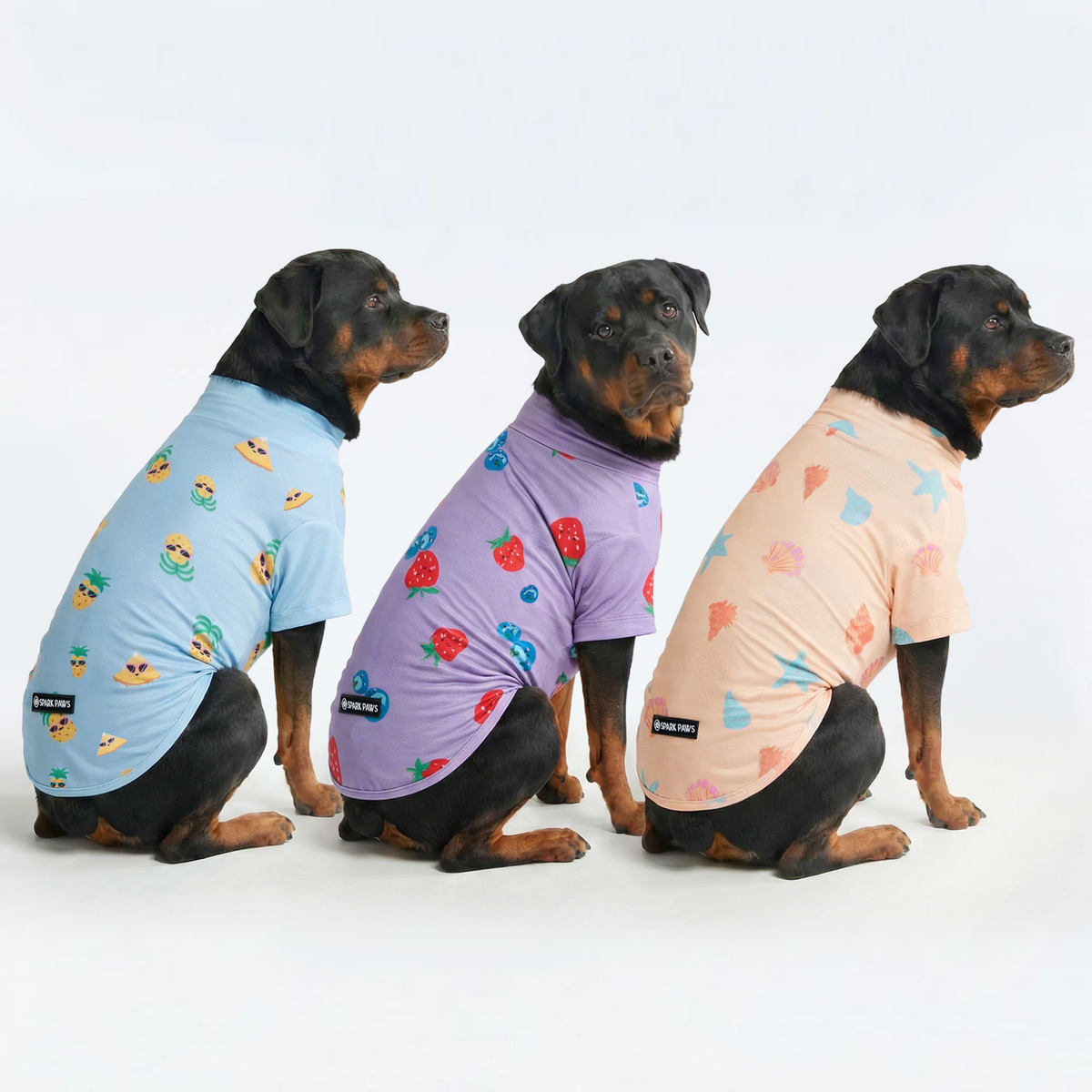 UPF 30 Dog Sun Shirt, Seashell Berries Pineapple / 4XL
