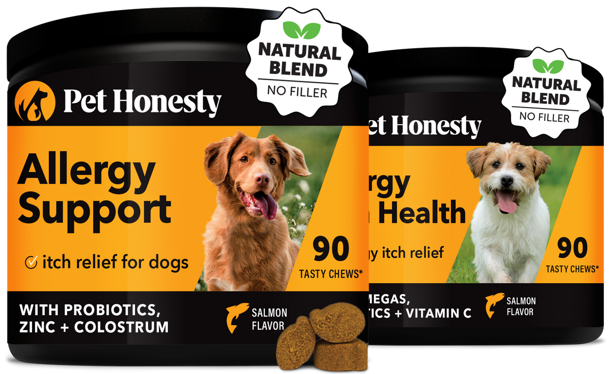 Dog Allergy Support Soft Chew Pack Default Title