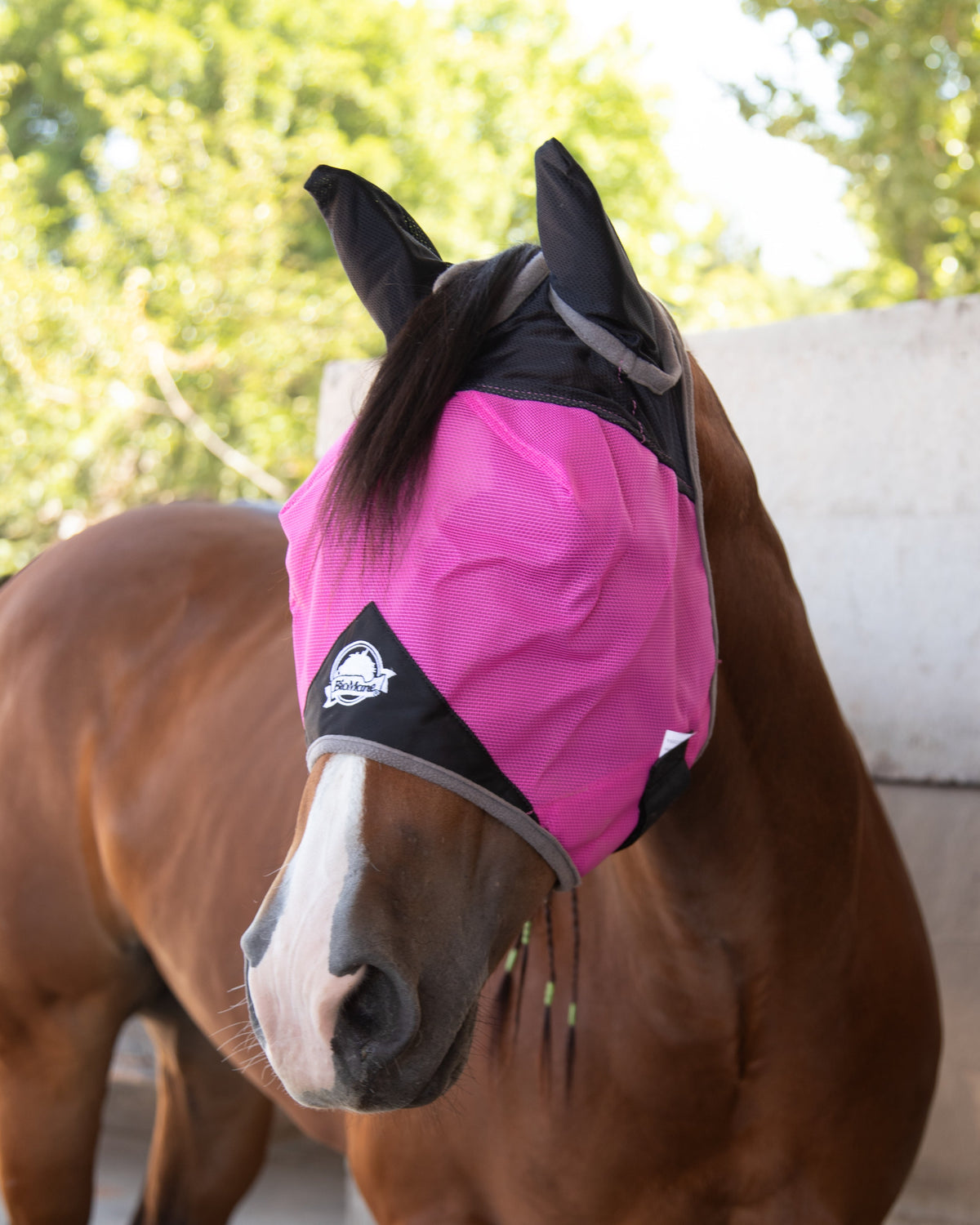 Quarter Horse Fly Mask Quarter Horse - Pink