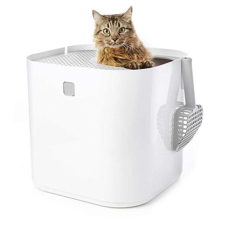 Modkat with cat peaking out the top