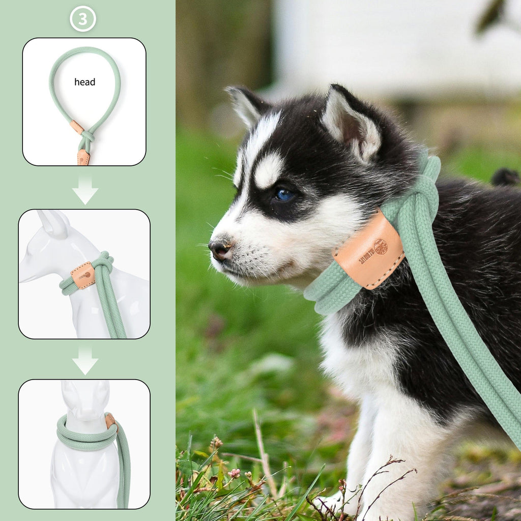 Dog Slip Leash and Harness 2-in-1 Rope Lead – No Pull All-in-One Training Leash for Puppies & Small Dogs, Adjustable Slip Lead with Soft