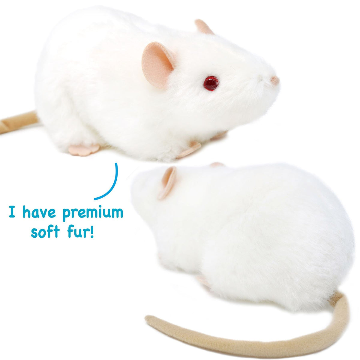 Plush Toy Wylie Realistic White Rat 7-Inch Stuffed Animal with Character Story for Character Display, Room Decor and Gift Presentation