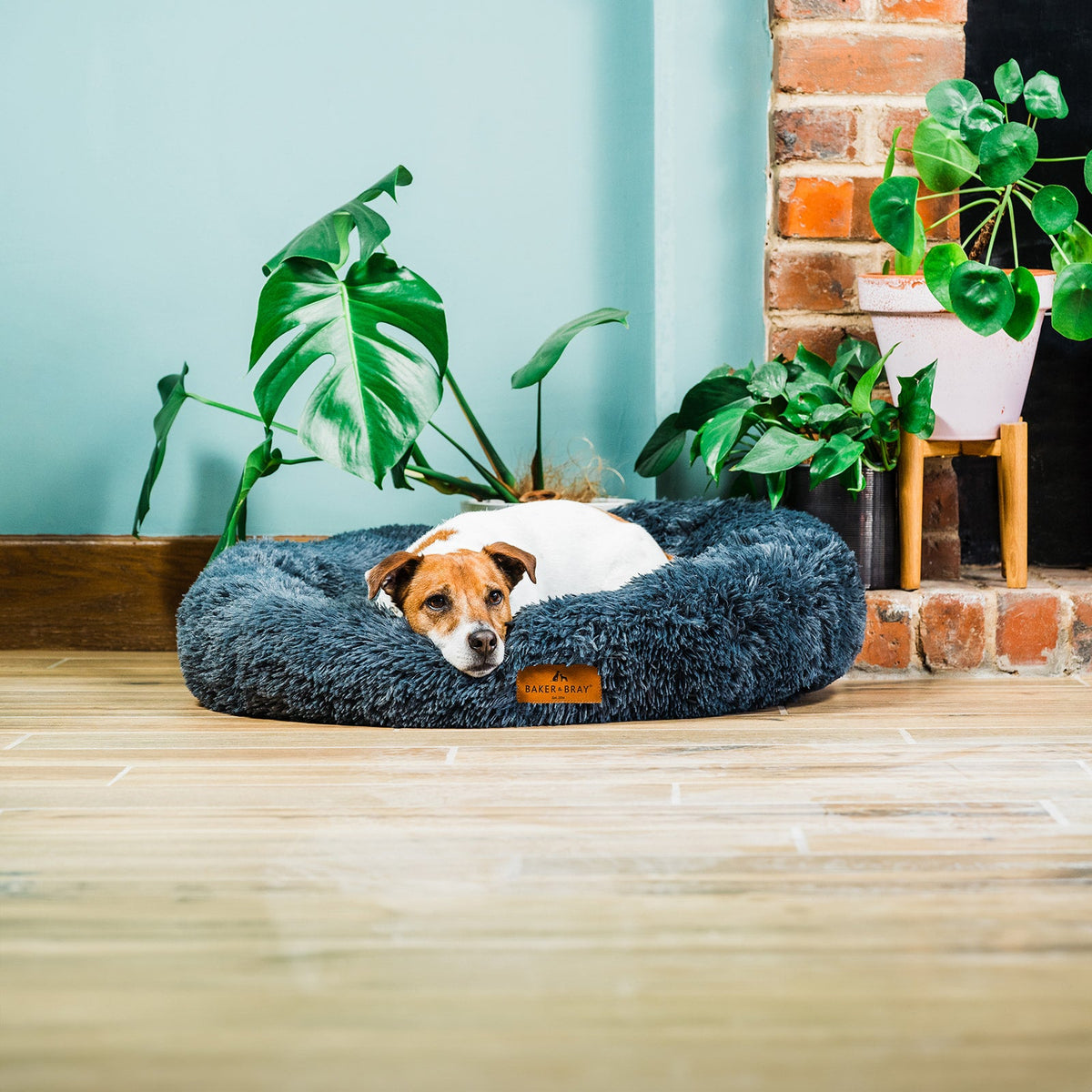 Calming Donut Dog Bed Small (60cm)