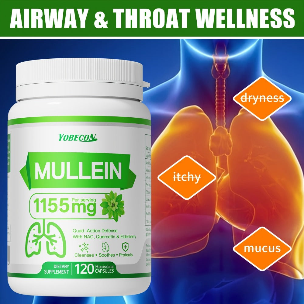 Herbal Supplement with YOBECON Label, Mullein NAC Quercetin Elderberry 1155mg per Serving, 120 Capsules