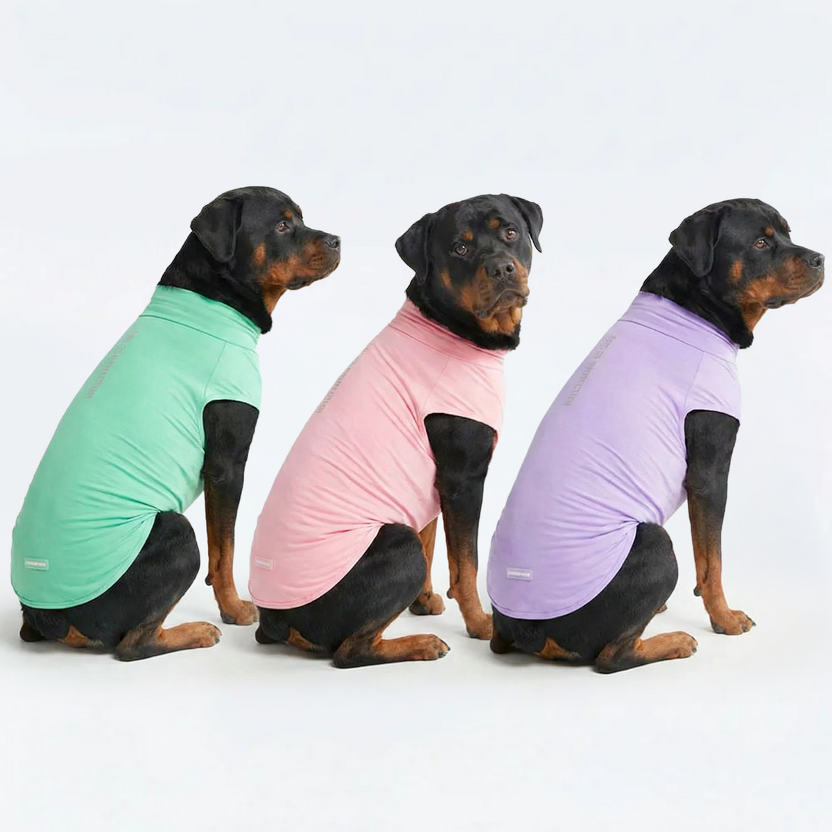 UPF 30 Dog Sun Shirt, Mint Pink Purple / 4XL
