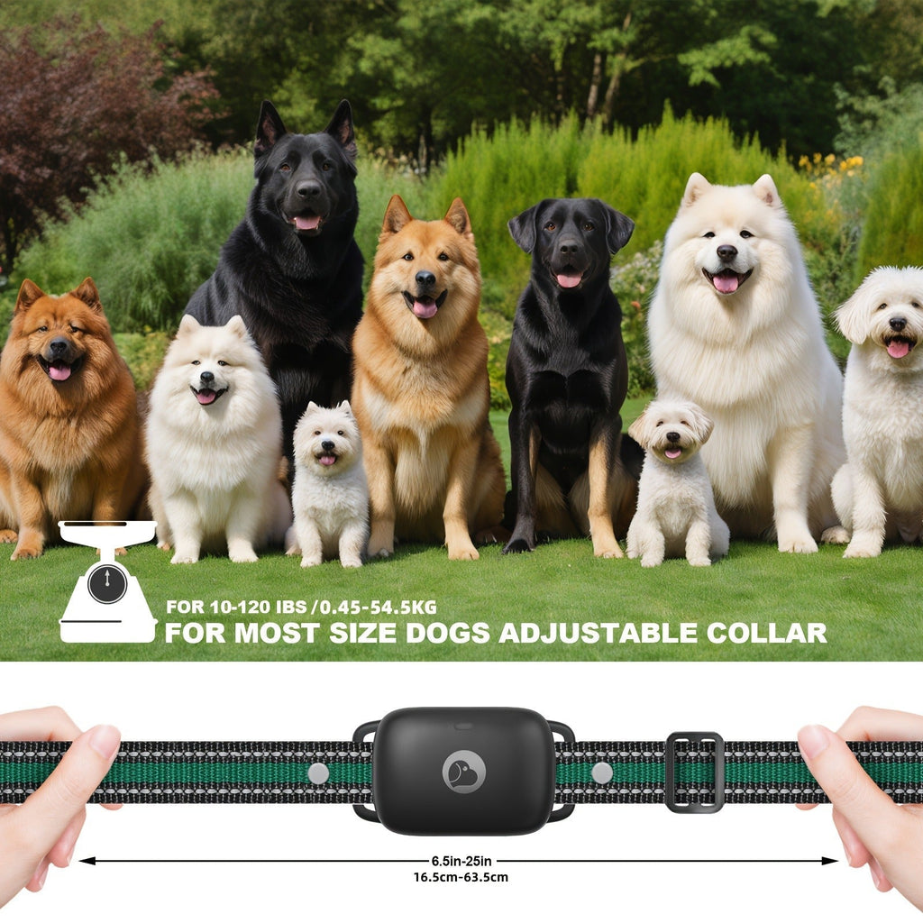 Dog Training Collar Black Remote Set with IP68 Receiver, 1640-Foot Range and One- to Three-Receiver Options