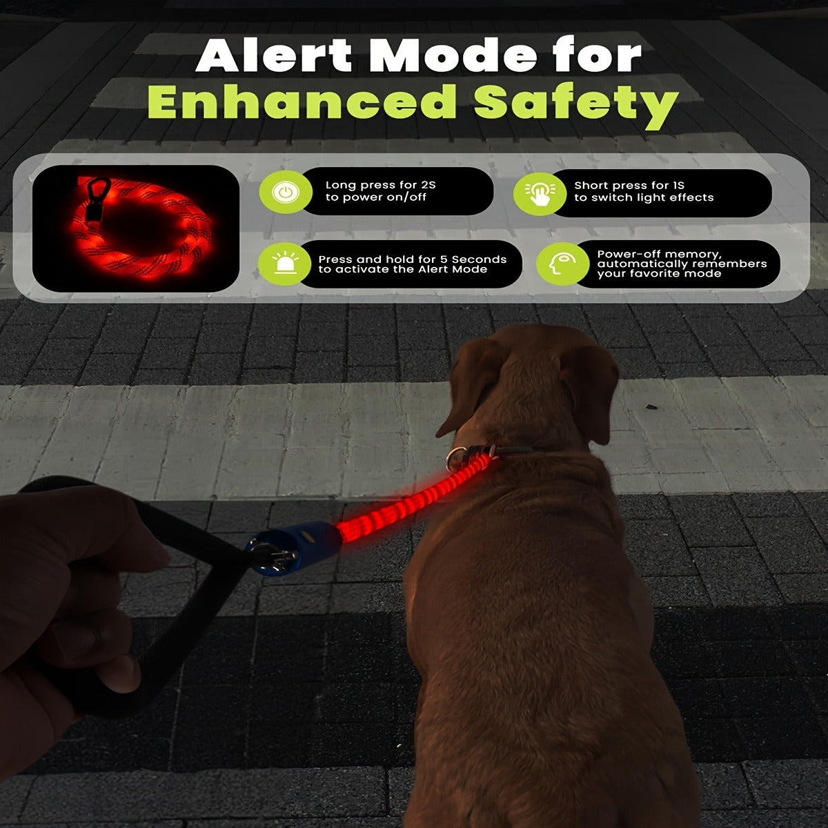Four-Foot LED Dog Leash with Rechargeable Multicolor Light Strip, Rotating Hook and 13 Pictured Modes
