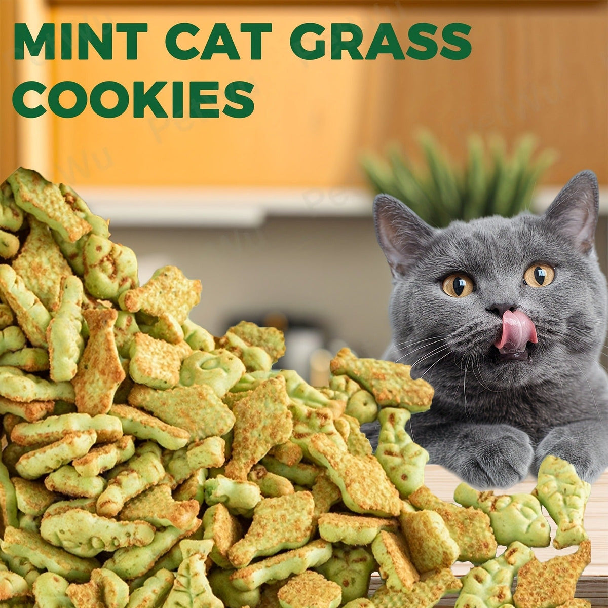 Catnip Cat Treats 150g – Catnip Cookie & Catgrass Molar Stick, Dried Fish Snack for Cats, Teeth Cleaning Dental Chew
