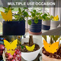 Yellow Butterfly or Gerbera Plant Sticky Traps in Seven Shape-and-Count Options from 40 to 120 Pieces