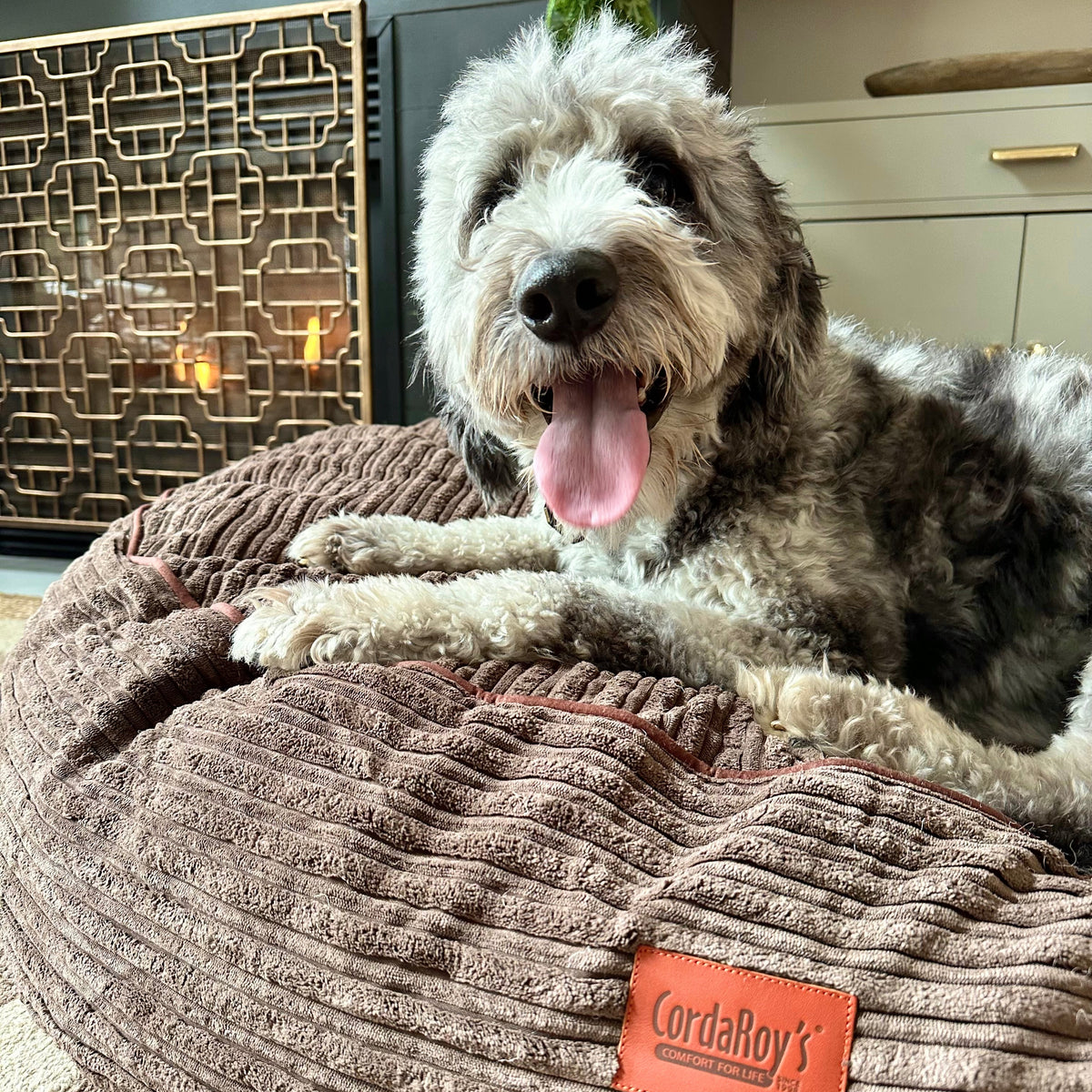 Waterproof 50-Inch Dog Bed product image 3