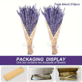 Two-Bunch Dried Lavender Bundle with About 210 Stems and 17-Inch Purple Floral Display Length