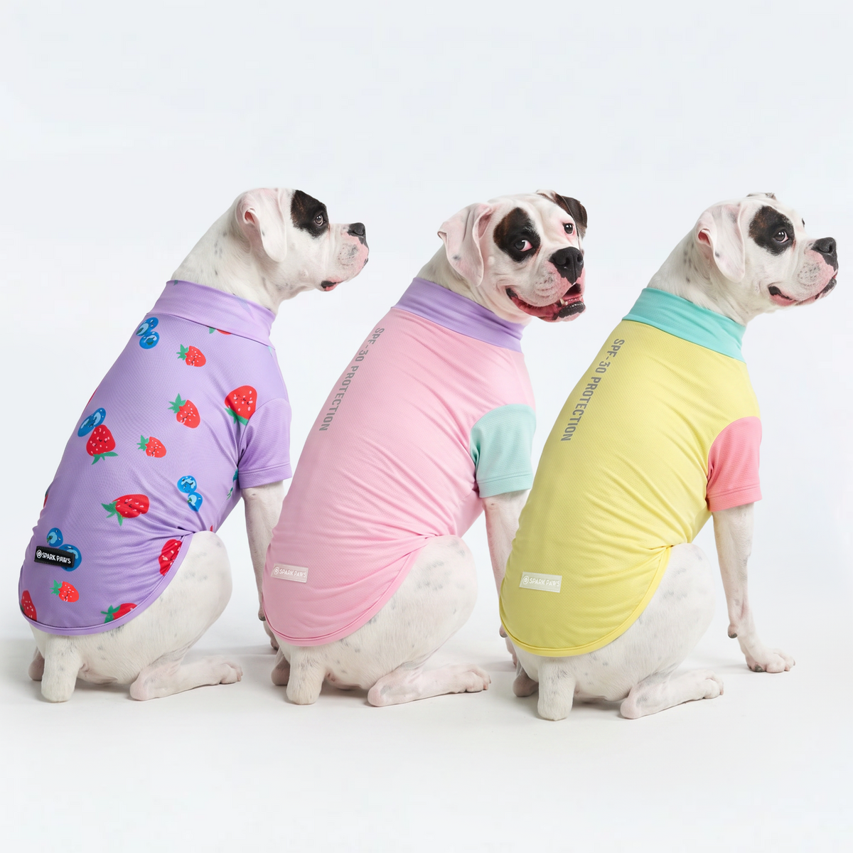UPF 30 Dog Sun Shirt, Gelato Yuzu Berries / 2XL