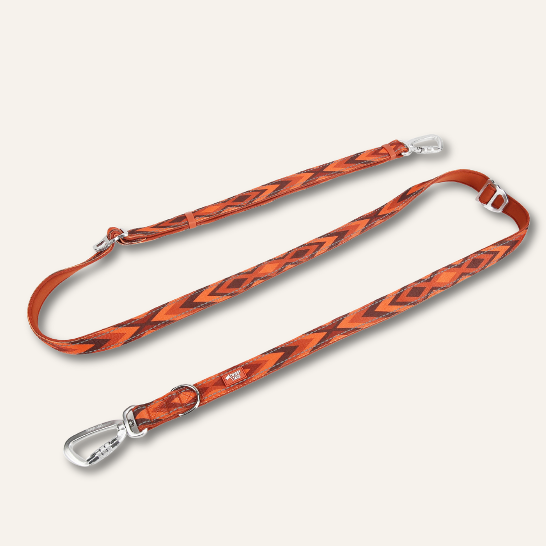 Adjustable Multi-Way Dog Leash Dawn