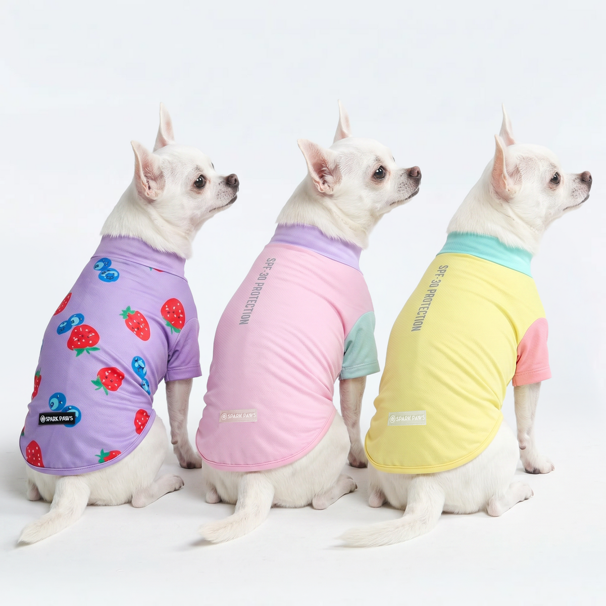 UPF 30 Dog Sun Shirt, Gelato Yuzu Berries / S